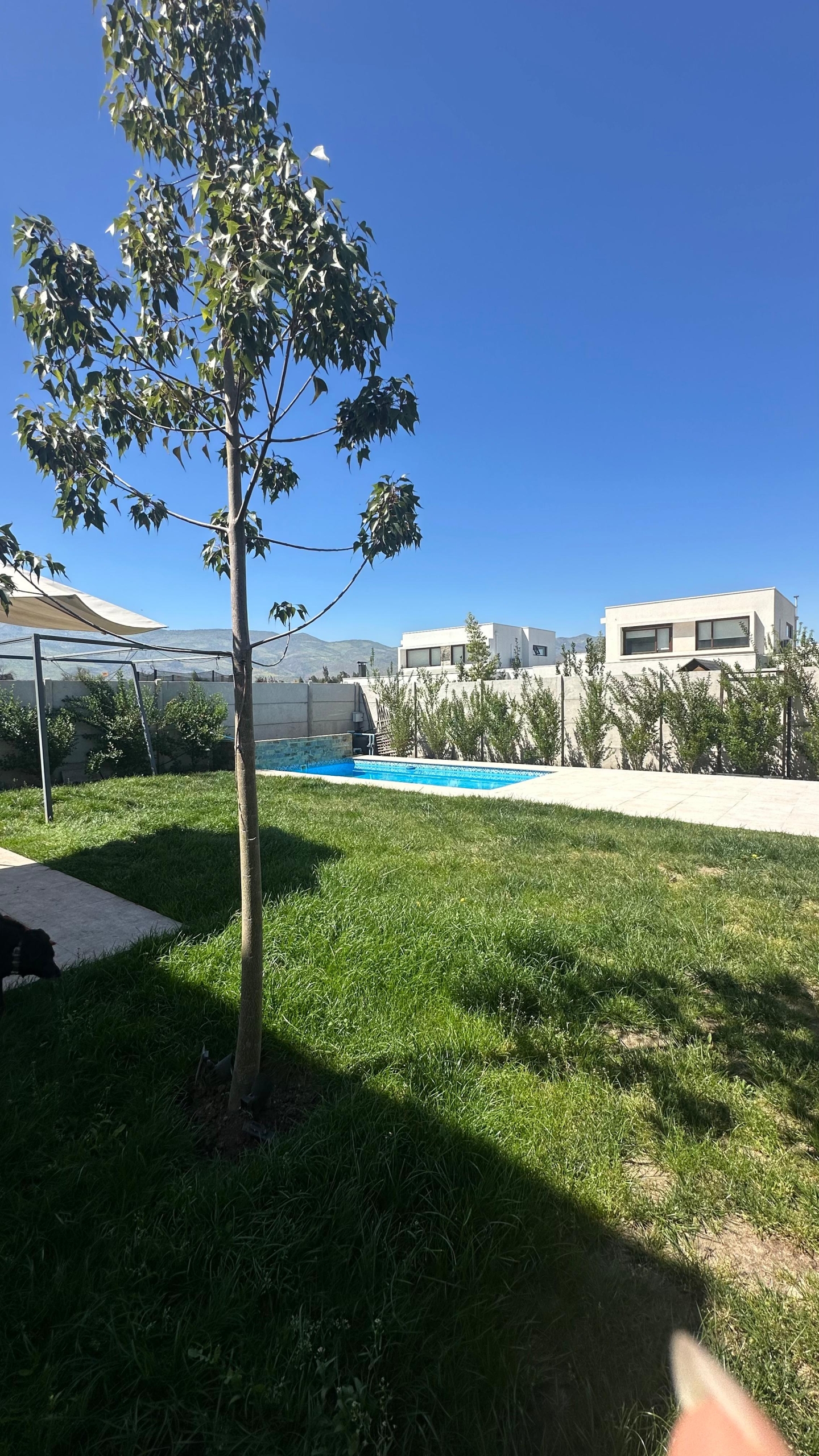 WhatsApp Image 2025-09-26 at 2.52.30 PM