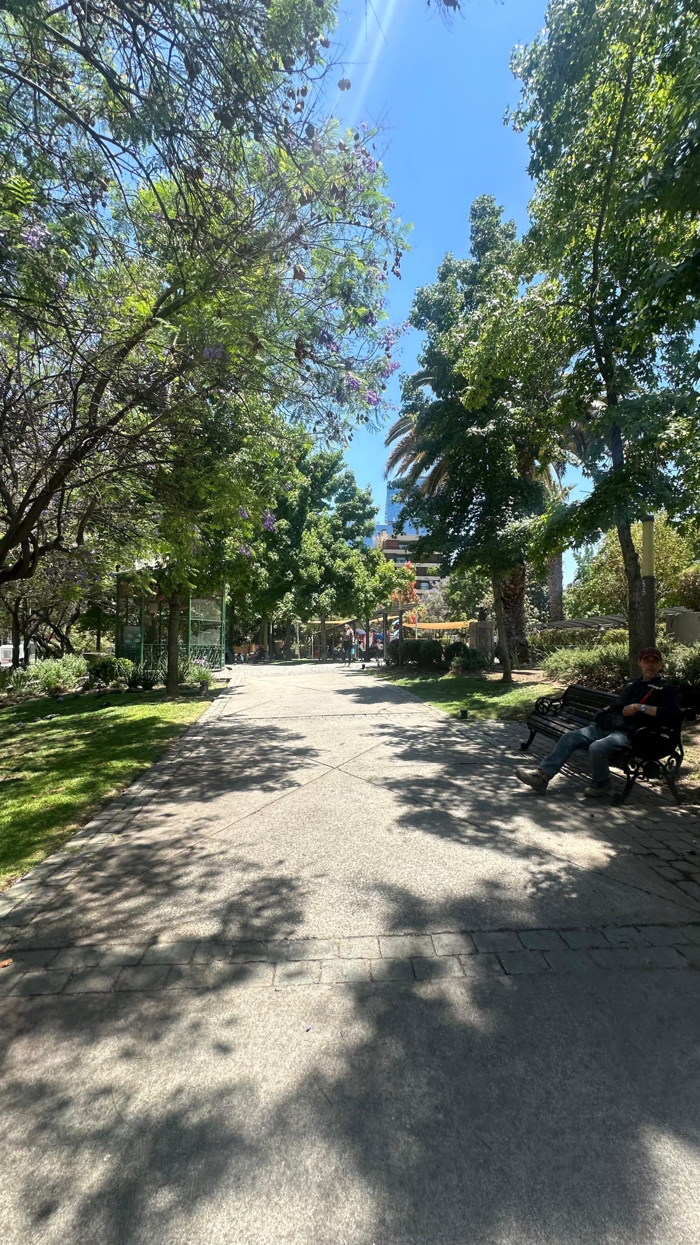 Imagen de WhatsApp 2025-12-02 a las 17.25.42_2ff4761b