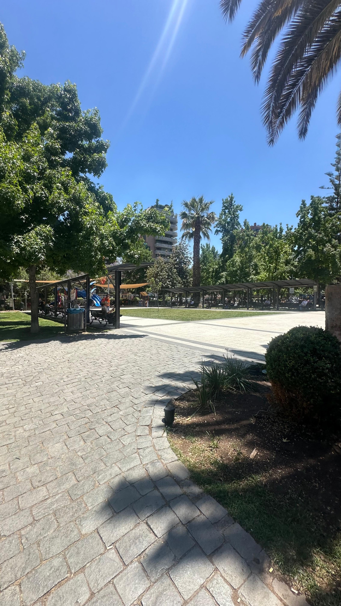 Imagen de WhatsApp 2025-12-02 a las 17.25.42_9ce7042c