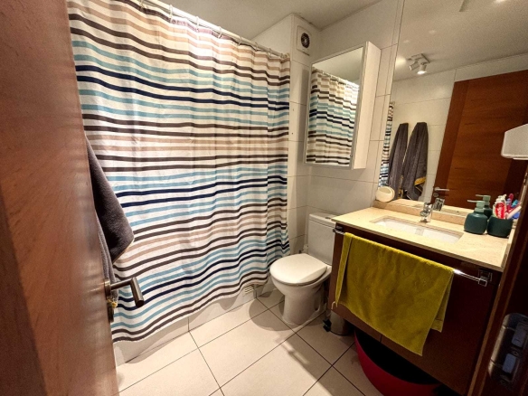 Maravilloso Departamento en exclusivo lugar de Providencia