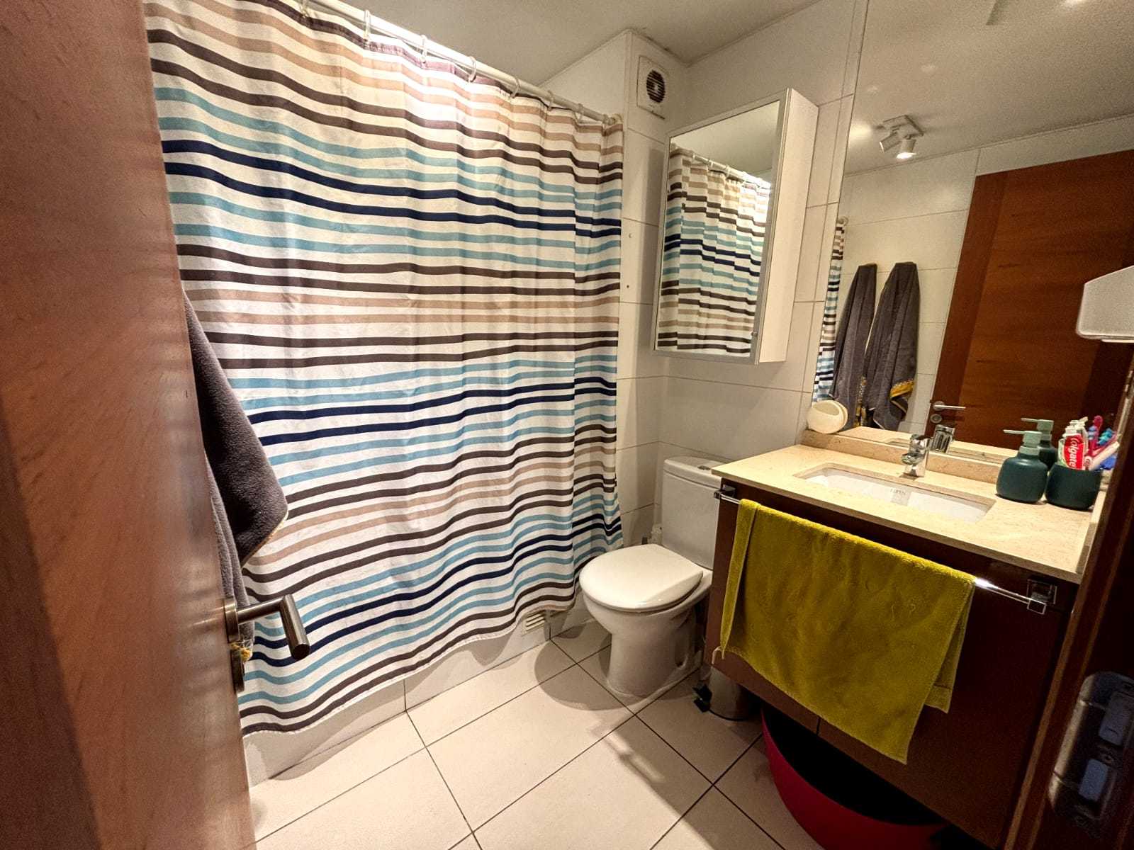 Maravilloso Departamento en exclusivo lugar de Providencia