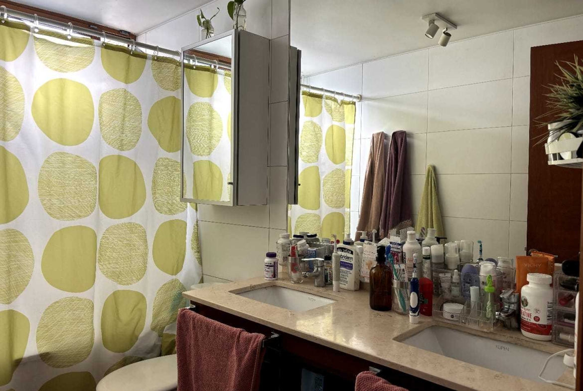 Maravilloso Departamento en exclusivo lugar de Providencia
