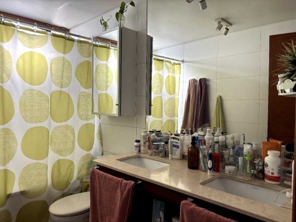 Maravilloso Departamento en exclusivo lugar de Providencia