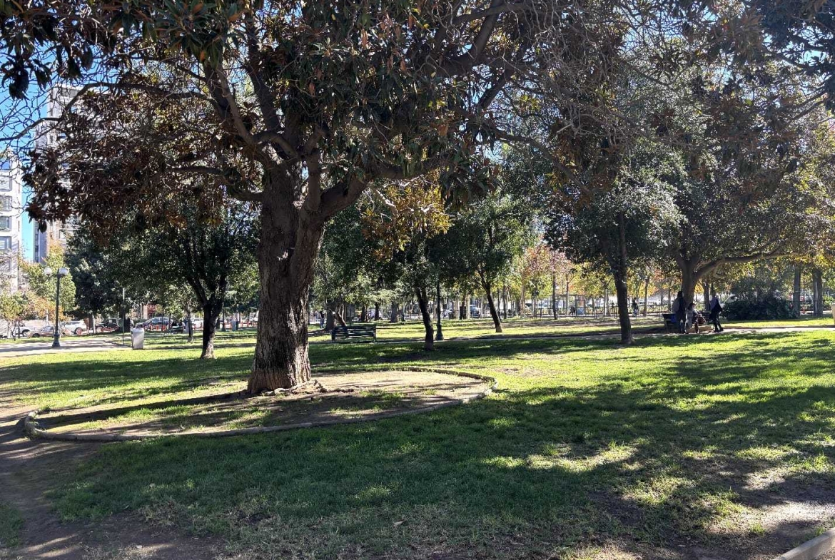 Maravilloso Departamento en exclusivo lugar de Providencia