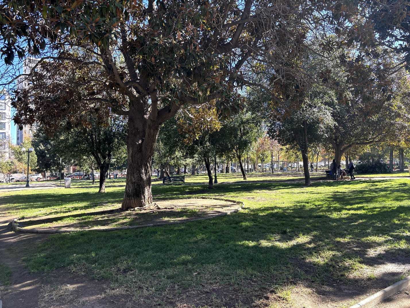 Maravilloso Departamento en exclusivo lugar de Providencia